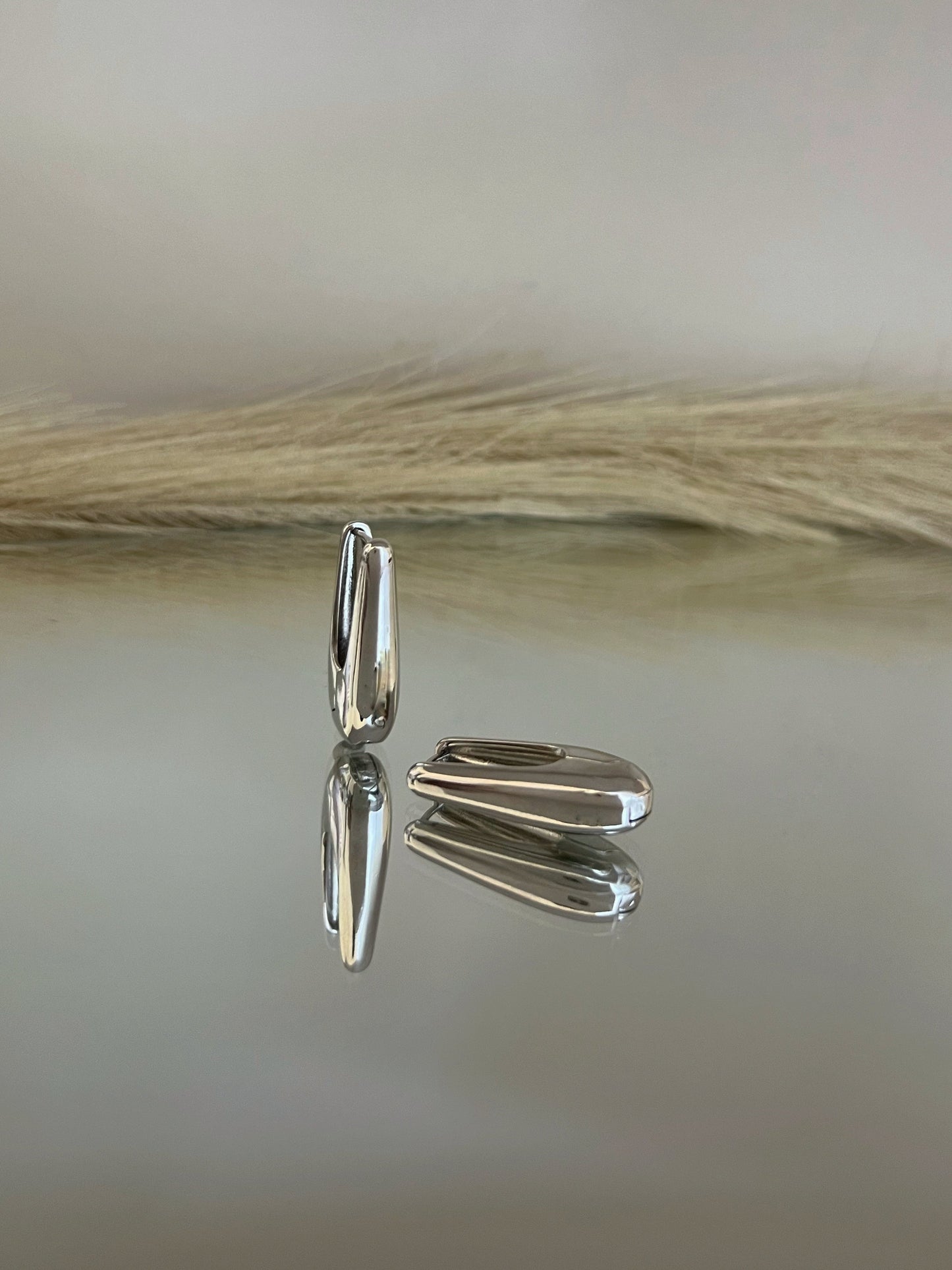 Silver Drops Earrings
