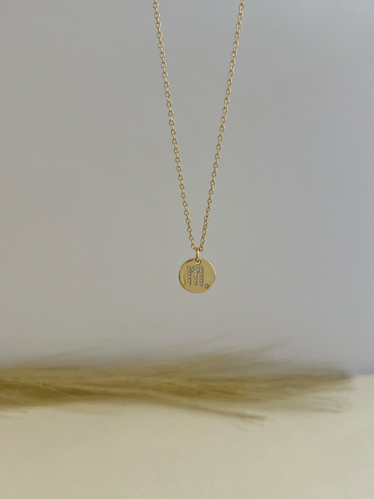 Zodiac Charm Necklace